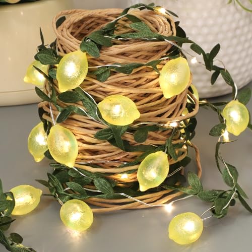 3D Lemon LED String Lights USB/Battery Operated Light String with Remote Timer 10FT 40LEDs Lemon Light Bulbs with Branches Leaves Fairy Lights for Bedroom Birthday Garden Party Decorations - style: Lemon