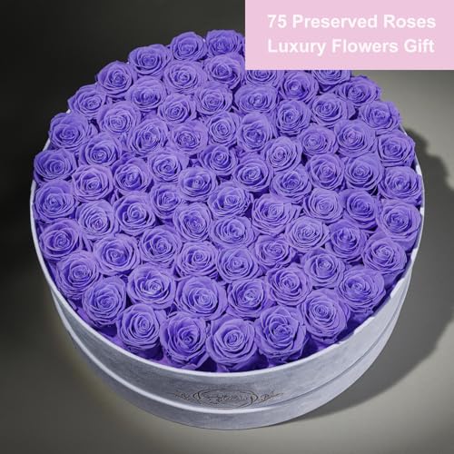 Prifroti 75 Preserved Roses in Suede Box – Luxury Rose Flower Arrangement, Preserved Flowers Gifts for Women, Wife or Mom – Birthday, Anniversary, Valentine’s Day, Mother's Day (Lavender) - color: Lavender, size: 75 Roses