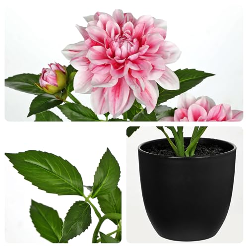GnFlus Artificial Plants & Flowers in Pot Pink Dahlia Artificial Flowers Potted Plant Faux Silk Flower with Pot Fake Flower for Home Bathroom Table Centerpieces Wedding Shelf Desk Decor 16.5 Inch - color: Pink-16.5