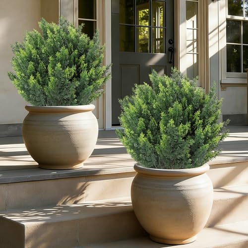 24''Artificial Cedar Topiary Ball Trees for Outdoor,2 Pack Greenery Cypress Tree Plants with Ground Spike,UV Resistant Faux Pine Bushes Shrubs for Garden,Porch,Front,Patio - color: Green Cedar