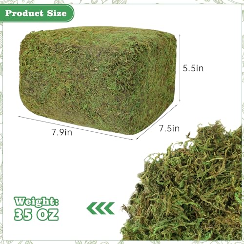 35 OZ Large Capacity Artificial Moss for Potted Plants,Natural Fake Moss Grass for Plants Indoor,Craft and Greenery Bulk for Hamsters(Fresh Green)