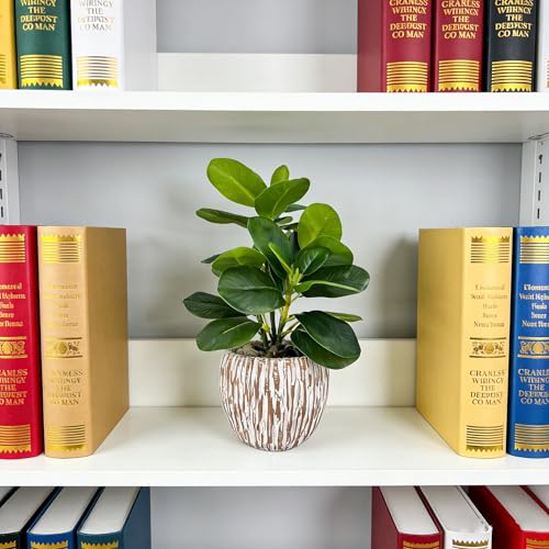 Artificial Potted Plants Life-Like Fake Plant with Farmhouse-Style Cement Planter Feturing Light Wood Tone for Room Bathroom Bedroom Kitchen Office Dese Coffee Table Décor (9inch) - size: Ficus 9inch