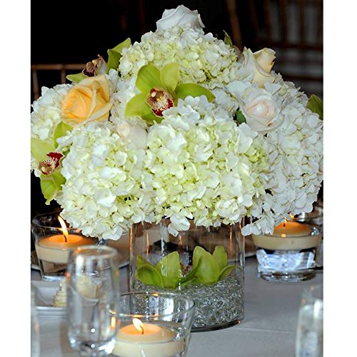 WGV Cylinder Vase, Diameter 5", Height 6", Clear Glass Floral Planter Container, Floating Candle Holder for Wedding Party Event Home Office Decor, 1 Piece - size: 5"x6"H CL