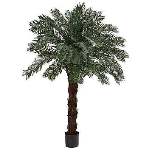 Nearly Natural 6ft. Cycas Artificial Tree, UV Resistant (Indoor/Outdoor)