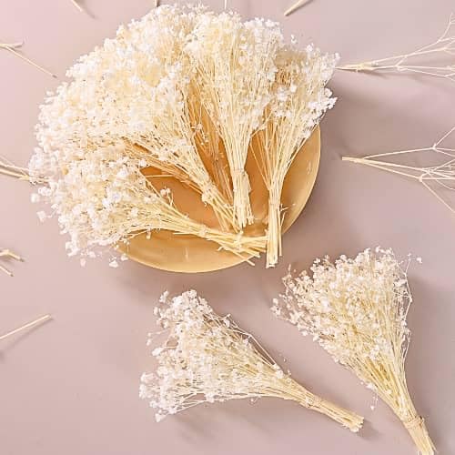 6200+ Ivory White Dried Baby's Breath Flowers - 100% Real Natural Gypsophila Mini Bouquet Bulk for Wedding Floral Arrangement Boho Home Decor, DIY Crafts,Candle Making, Birthday Party Decorations