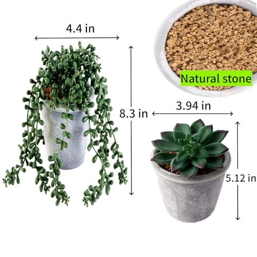 COTSEN 3 Pcs Artificial Succulents Potted Plants Assorted Fake Succulents Potted for Family Office Garden Interior Decor