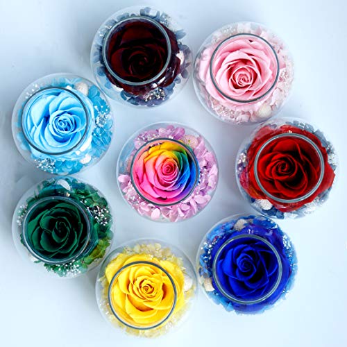Preserved Real Roses with Colorful Mood Light Wishing Bottle,Eternal Rose，Never Withered Flowers, a Gifts for Women 4.3inch 1pcs (Yellow) - color: Yellow