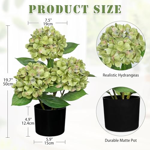 Hollyone Green Hydrangea Artificial Flowers Plant Potted 19.7" Faux Silk Hydrangea Flower Tree Arrangements for Home Bathroom Office Table Centerpiece Shelf Decorations - color: Green, size: 3 Head Hydrangea