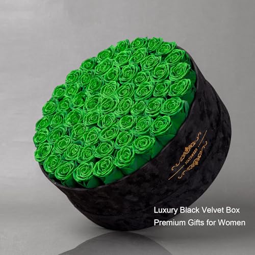 Gifts for Women – NATROSES 60 Preserved Roses in Luxury Black Velvet Box, Preserved Flowers for Delivery Gift for Her, Elegant Rose for Birthday, Mother’s Day, Christmas (Forest Green) - color: Forest Green, size: 60 Roses