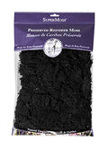 Super Moss (23151) Reindeer Moss Preserved, Black, 8oz - color: Black, size: 200 cubic inch (in3) Bag (Appx. 8oz)