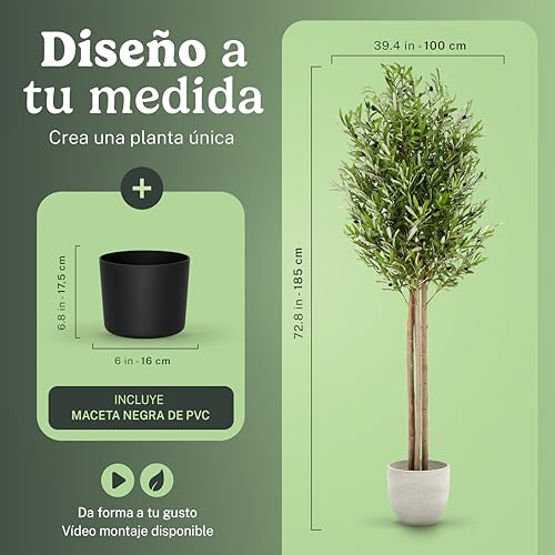 Maia Shop 7ft Artificial Olive Tree Plant for House, Apartment or Office – Realistic Fake Indoor Plants for Living Room, Bedroom, Bathroom, Entryway - color: Olive, size: 6ft 5in
