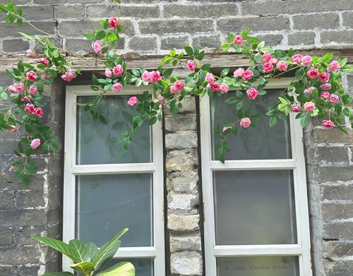 6FT Bendable Pink Rose Flower Garland, Artificial Silk Wild Roses Vine Leaves Hanging Flowers for Wall Fireplace Fence Trellis Wedding Baby Shower Room Home Spring Summer Decor(2PC) - color: Pink, size: 2