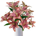 Brown Lilies Artificial Flowers,6 Pcs Faux Lily Flowers,23 Inch Long Stem Tiger Lily Branch with 3 Full Blooms and 4 Leaves, Latex Real Touch Lilium Flower for Wedding Bouquet - color: Brown