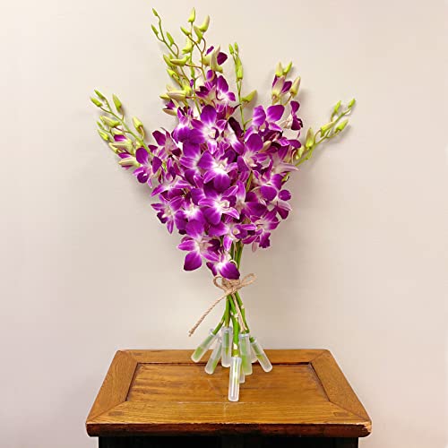 Athena’s Garden Fresh Cut Orchids Purple 10 Stems Sonia Dendrobium Orchids Flowers with Vase and Rocks - size: 10 Stems with Vase