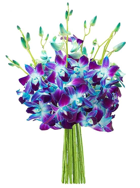 KaBloom - 10 Blue Orchid with vase - Fresh Flowers for Birthday, Valentine's & Mother's Day - color: Blue Orchid, style: With Vase