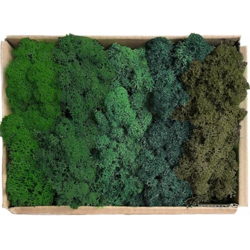 Preserved Reindeer Moss Natural Green DIY Kit Gardenning Art Wall Decor Florist Decor Easter Table Decor Wedding - color: Style-15, size: 1 lb