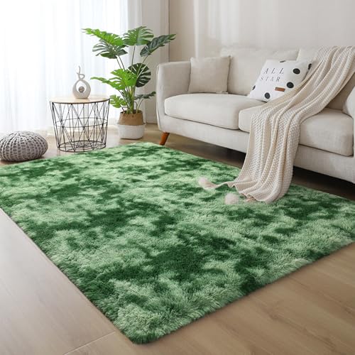DweIke Fluffy Sage Green Shag Rugs for Bedroom Living Room, 3x5 Feet Soft Plush Tie-Dyed Mint Green Girls Boys Kids Rug, Non-Slip and Machine Washable Carpet for Dorm Nursery Classroom Decor - color: Light Green, size: 3 Ft X 5 Ft