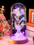 Gifts for Mom Birthday Gifts for Women Angel Rose USB Rechargeable Light Up Flowers in Glass Dome, Angel Figurine Anniversary Preserved Flowers Gifts for Mom Women Wife Grandma Her - color: New-angel