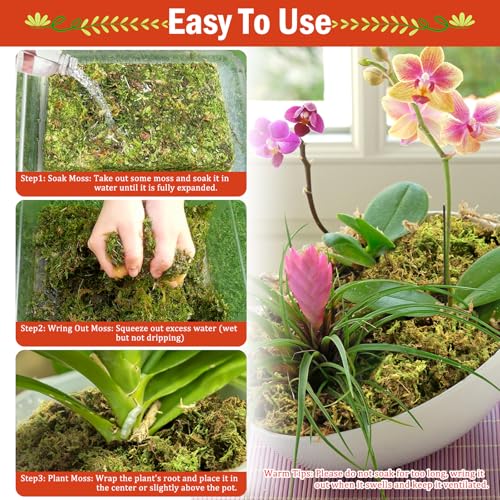 Riare 3.5OZ Premium Sphagnum Moss for Plants- 4QT Natural Dried Plant Moss for Potted Plants, Orchid Moss for Repotting, Soft Green Decorative Moss for Succulents, Reptiles & DIY Crafts - color: 4 QT(Appx.3.5oz)