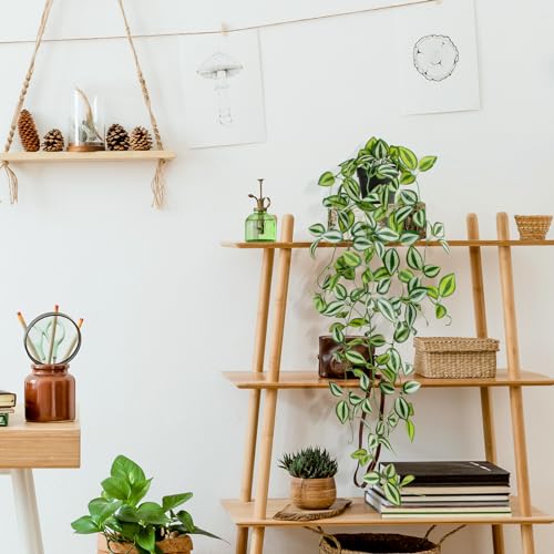 Artificial Plants Indoor Small Potted Hanging Vine plnat 39-in Long Fake Green Eyebrow Leaf Plant Faux Trailing Plant for Home Office Livingroom Desk Shelf Mantle Decoration (Black Pot) - color: Eyebrow