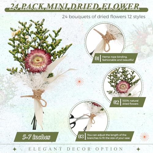 Layhit 24 Pcs Boho Dried Flower Bouquet Mini Wedding Handmade Dry Flowers Decor for Vase Crafts DIY Photo Boutonniere for Men Floral Plant for Bridesmaid Gift Birthday Decor (Gerbera Daisy) - style: Gerbera Daisy