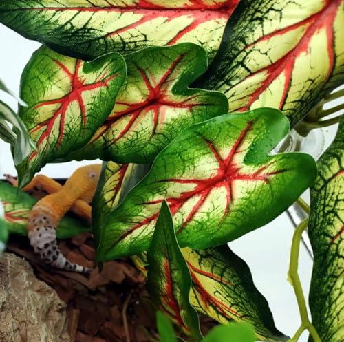 Reptile Plants for Terrarium, Amphibian Habitat Decor Artificial Hanging Plants with Suction Cup, Artificial Plants for Gecko Chameleon Snake Tortoise Tank Accessories. 2-Pack (Alocasia odora -A) - color: Alocasia Odora-a