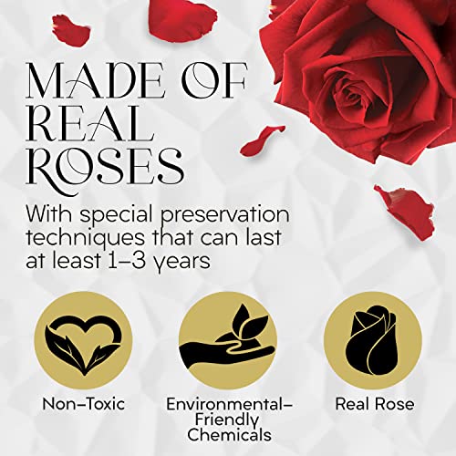 GLAMOUR BOUTIQUE Eternal Preserved Roses in a Box, Flowers Forever, Rose Forever in a Box for Wife or Her, Lasting Real Flower Gift for Mothers Day Luxury Floral 7 Roses, Red (Color-Treated) - color: Red 7 Roses, size: 7 Roses