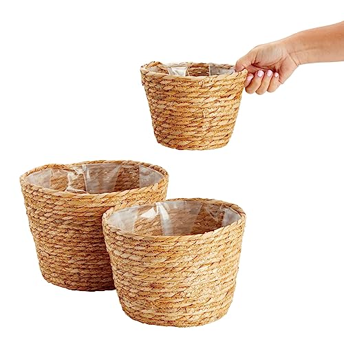 Seagrass Indoor Planter Set with Plastic Lining, 3 Small Woven Wicker Baskets for Plants, Flower (3 Sizes)