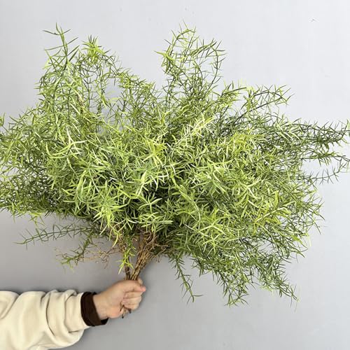 2Pcs Faux Asparagus Fern Bush 26In Large Artificial Radix Asparagi Fern Greenery Plants Home Decor Kitchen Garden Patio Balcony Decor