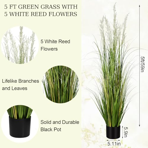 Fake Plants 5ft/59in Tall Artificial Pampas Grass 2 Pcs Tall Faux Plants Outdoor Indoor Floor Decor Greenery for Garden Home Patio Lobby - color: 2pac Green1