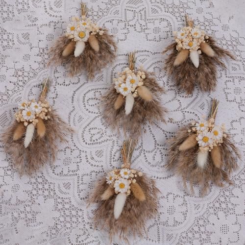 xin's convey Mini Dried Flower Bouquet Set of 6, Small Pampas Grass, Bohemian Wedding Table Centrepieces, Bridesmaid Flower Girl Proposal Boxes, Birthday Cake, Party Plate Decorations (Brown) - color: Brown