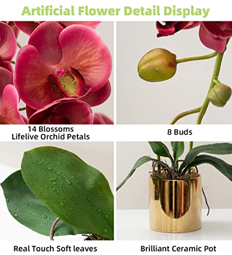 Artificial Orchid Flowers Fuchsia Faux Orchids with Ceramic Vase Vivid Fake Phalaenopsis Flower Arrangement Gorgeous Artificial Plants for Office Desk Wedding Party Exhibition Center&Home Table Decor - color: Fuchsia-golden