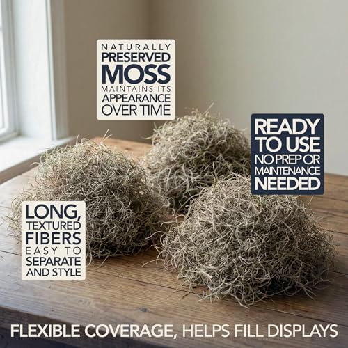 Royal Imports Preserved Natural Spanish Moss, Fresh Dried Shredded Loose Chunks, 3 LB Bulk Case - size: 3 Lbs Box