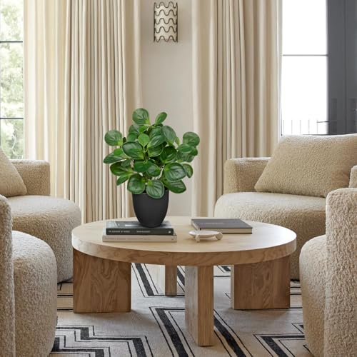 Villa Como 14.5" Artificial Plants Indoor Home Decor, Fake Potted Silk Plants for Shelves Living Room Decorative, Small Artificial Office Desk Plants in Pots, Faux Peperomia Hope Tropical House Plant - color: # Total Green