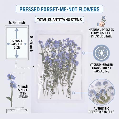 48 Pcs Natural Dried Pressed Forget-me-not Flowers for Wedding Cake Decorating, Real Dry Flower for Resin Jewelry Making, DIY Bookmarks Art Crafts(Forget-me-not) - color: Forget-me-not