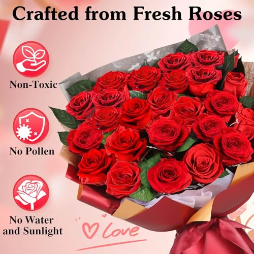 ADDWel 24 Preserved Red Roses Bouquet - Real Roses That Last 3+ Years, Romantic Anniversary & Birthday Gifts for Women, Wife, Girlfriend - Two Dozen Infinity Flowers for Delivery - color: Preserved Red Roses Bouquet - 24 Roses