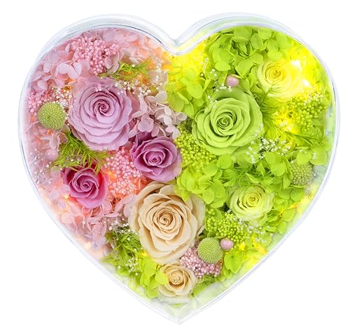 Valley of Rain & Forest Long-Lasting Real Flowers With Delivery | "Sweet" Preserved Floral Gift With Lights For You to Send Love, Romantic Home Decor (Forever Pink & Green Roses Arrangement) - color: Pink & Green Roses Arrangement