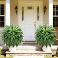 Suntee 48" Large Artificial Ferns 2 Pack, Realistic Fake Boston Fern Plant with 100 Bendable Fronds, UV Resistant Zero Maintenance Faux Bush for Outdoors Garden Patio Porch Living Room Home Decor