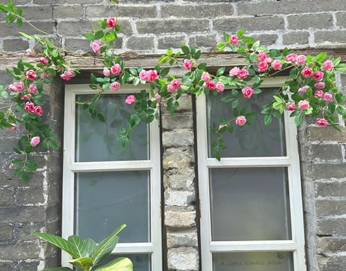 6FT Bendable Pink Rose Flower Garland, Artificial Silk Wild Roses Vine Leaves Hanging Flowers for Wall Fireplace Fence Trellis Wedding Baby Shower Room Home Spring Summer Decor(1PC) - color: Pink, size: 1