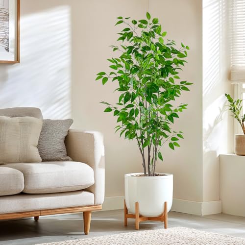 5ft Artificial Ficus Tree with White Plastic Planter | Collapsible trunk structure enables quick assembly and compact space-saving storage - color: Green, size: 5ft