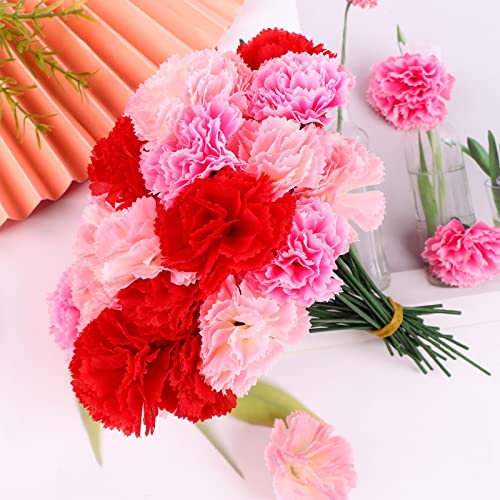 120 Pack Artificial Carnations with Stems Leaves Eternal Blossom Silk Carnation Flower Artificial Pom Pom Mini Hydrangea Birthday Party for Home, Wedding(Scarlet, Pink, Light Pink) 5g6e8t1sm19