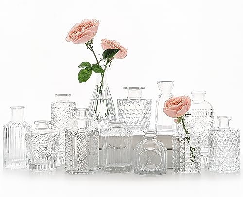 SUPMIND 12pcs Glass Bud Vase Set, Small Clear Flower Vases for Centerpieces in Bulk, Mini Vintage Vase for Wedding, Home,Table Decoration - color: Clear, size: 12Pcs