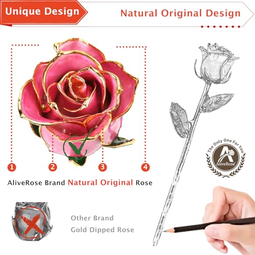 AliveRose Gold Plated Rose Made from Real Rose - Unique Design 24K Dipped Rose for Anniversary Valentines Mothers Day Birthday Gifts for Wife (Pink Original with Crystal Vase) - color: 5. Pink Original Rose With Crystal Vase