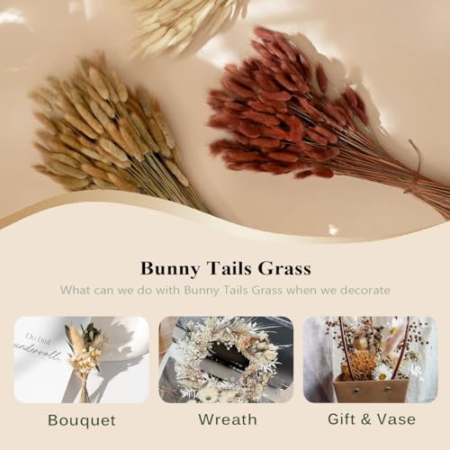 Bunny Tails Dried Flowers 100pcs Dried Pampass Grass Decor Bunny Tail Floral Stems 17 Inch Dried Flowers for Boho Decor Home Wedding Decoration Plants (Light Pink) - color: Light Pink