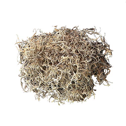 Mosser Lee Spanish Moss – Natural Decorative Moss for Houseplants, Soil Cover, Crafts, Terrariums & Floral Arrangements - 2.4 Cubic Foot - size: 2.4 cu. ft.