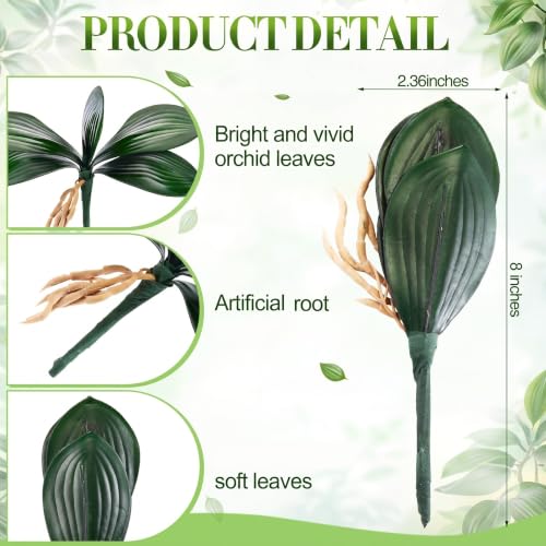 Chuangdi 6 Pcs 8 Inch Artificial Orchid Leaves, Faux Phalaenopsis Orchid Leaves with Stems,Green Orchids Leaf for Floral Arrangement, Vase Filler, Wedding & Home Decor, DIY Flower - size: 8 Inch