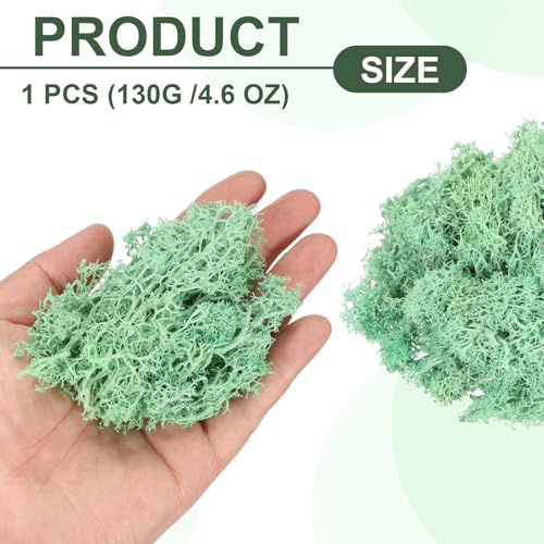 MECCANIXITY 4.6oz Preserved Reindeer Moss, Green Decorative Artificial Fake Moss for Potted Plants Indoor Crafts Lichen Centerpieces Decor - color: Green, size: 4.6oz