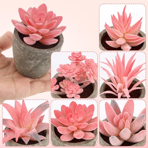 Woration 6Pcs Small Artificial Pink Succulent Set Fake Flocking Succulents Plants Potted Floral Arrangement for Shelf Office Home Desk Decorations - color: 6 Pack 6 Style Pink