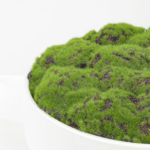 NAHARO New Moss Bowl, Handmade Ceramic Bowl. 11" Artificial Moss Centerpiece for Home Decoration, Living Room, Office - color: White