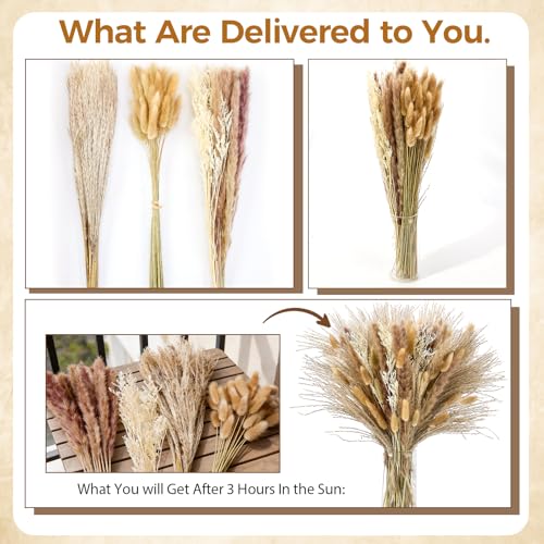 100 Pcs Pampas Grass Boho Decor, 17" Dried Flowers Bouquet for Vase, Crafts, Bohemian Wall Art, Western Home, Living Room, Bedroom, Fall Wedding Table & Rustic Farmhouse